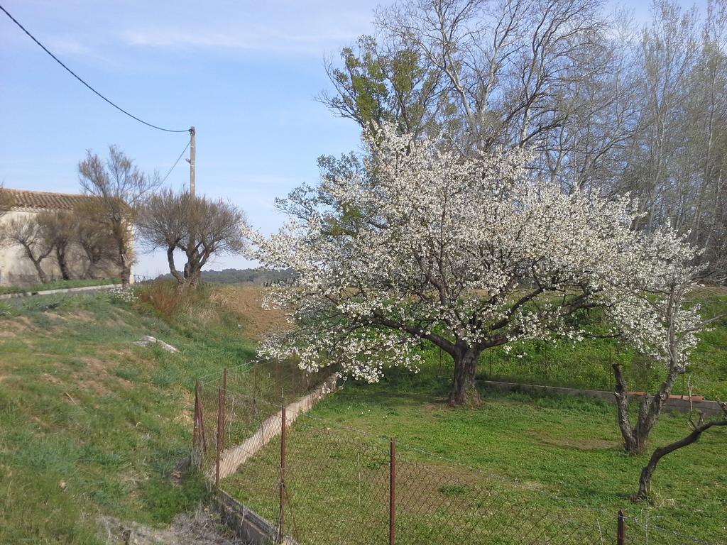 Usclas-l'Herault Villa Fontilha מראה חיצוני תמונה